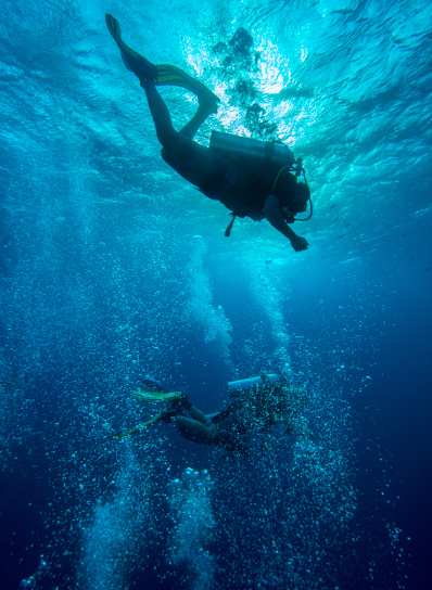 Scuba Diving